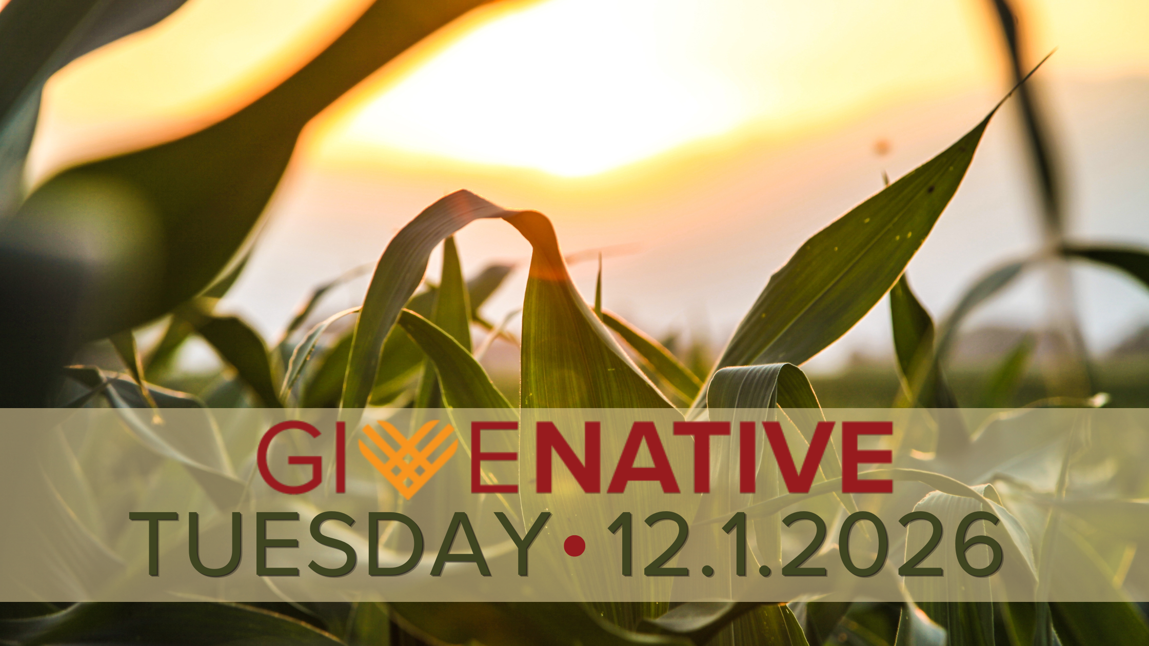 2026 #GiveNative Banner